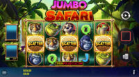 jumbo safari