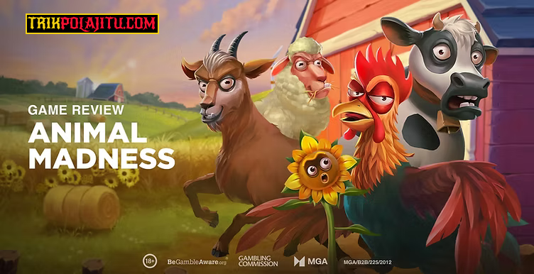 Animal Madness Play’n GO