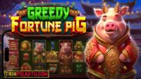 Pola Jitu Greedy Fortune Pig Pragmatic Play