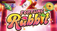 Pola Jitu Fortune Rabbit PG SOFT