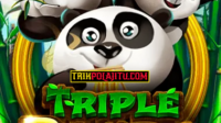 Pola Jitu Triple Panda Spadegaming